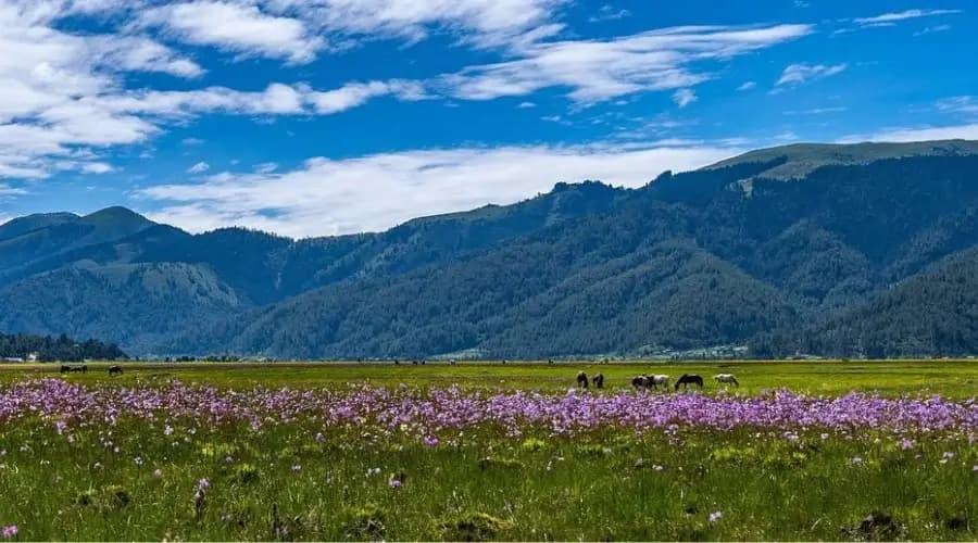 Jumla Rara Lake Trek